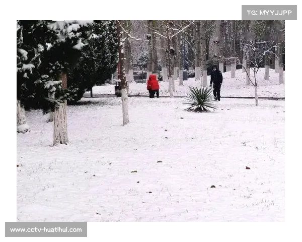 人民公园球场积雪过厚，勒沃库森比赛安全因素优先